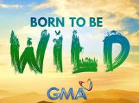 Born To Be Wild November 17 2024